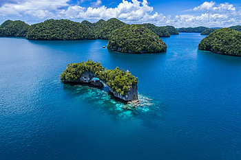 Palau, Dive paradise, Breathtaking underwater world, Aquatic wonders HD wallpaper