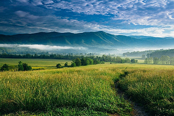 North Carolina, PC , Travel, Scenic HD wallpaper