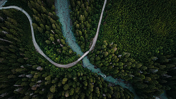 Nature, Rivers, Trees, View From Above, Forest, Spruce, Fir, Bridge HD wallpaper