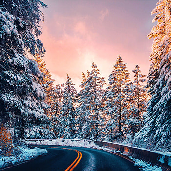 Nature, Trees, Sunset, Snow, Road, Turn HD phone wallpaper
