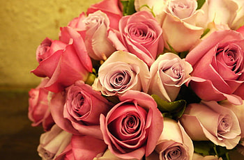 Pink Roses Bouquet, pink, roses HD wallpaper