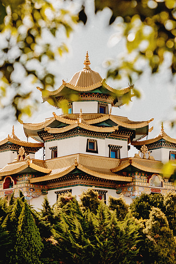 Nature, Trees, Architecture, Bush, Building, Pagoda HD phone wallpaper