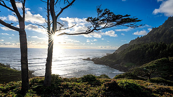 Cape Perpetua, Oregon, coast, trees, clouds, sky, rocks, usa, sunrise HD wallpaper