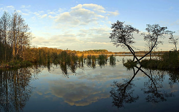 Nature, Rivers, Trees, Reflection, Shore, Day, Shores HD wallpaper