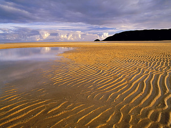 low tide , low tide HD wallpaper