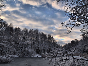 Winter, Nature, Snow, Lake, Forest HD wallpaper