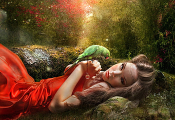 Dreamer, other, people, bird, woman HD wallpaper