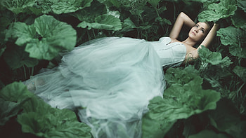 Bride, white, model, green, leaf, girl, dress HD wallpaper