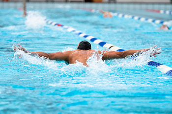 Swimming swiss aquatics, National swimming federation, Swiss athletes, Competitive swimming HD wallpaper