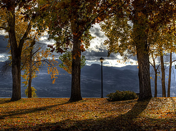 Crisp autumn day, sunny, golden, woods, peaceful, beautiful, lamp post, shadows, leaves, brown, trees, autumn, nature, mountains, forest HD wallpaper