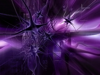 Kultdesign Epidemic, 3d and cg, purple, abstract HD wallpaper