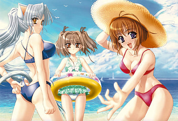 anime, ciel, blue eyes, animal grils, short hair, bikini, aqua, long hair HD wallpaper