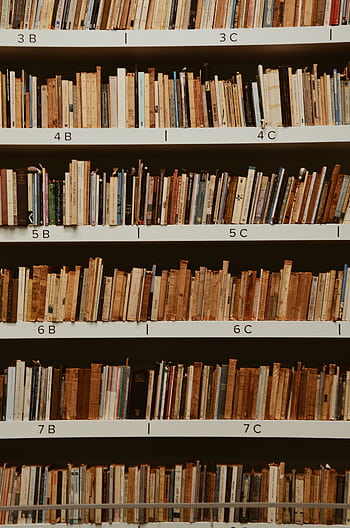 A well-organized bookshelf in a library with assorted books neatly placed. HD phone wallpaper