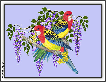 PARROTS AND FLOWERS, ART, BIRDS, FLOWERS, ABSTRACT HD wallpaper