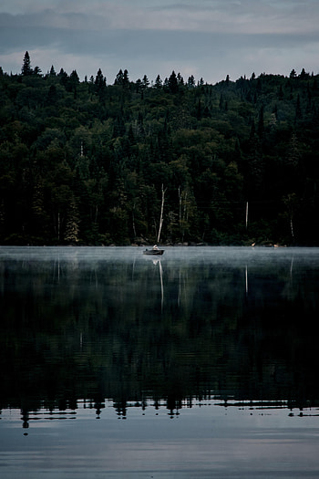 Nature, Rivers, Forest, Fog, Boat HD phone wallpaper