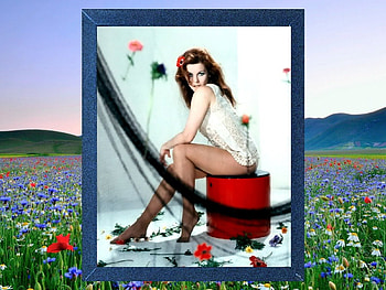 Ann Margret02, actor, sex symbol, model, dancer HD wallpaper