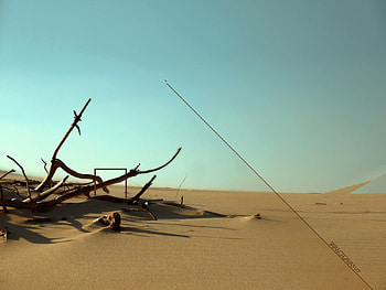 kartina, desert HD wallpaper