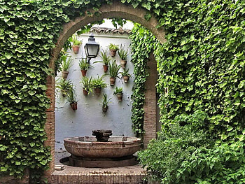 patio, spain, vine, flowers, cordoba HD wallpaper