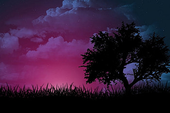 Purple Clouds, clouds, purple, beautiful HD wallpaper