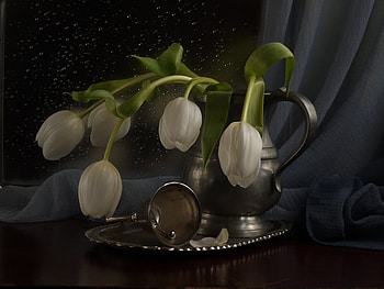 White tulips, bell, graphy, veil, water drops, beautiful, beauty, jug, still life, tray, flowers, harmony HD wallpaper