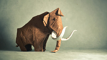 Elephant Man Art, art, elephant, animals, creative, artist HD wallpaper