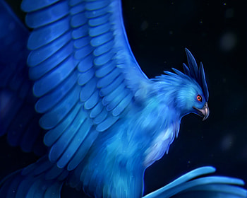 Fantasy bird, blue, articuno, phoenix, chiakiro, bird, fantasy, luminos HD wallpaper