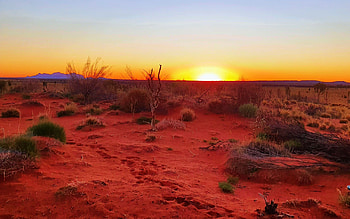 Yulara Northern Territory, Australia, sand, desert, landscape, sky, grass, sun HD wallpaper
