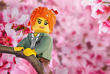 MISAKO The LEGO Ninjago Movie, the-lego-ninjago-movie, movies, 2017-movies, animated-movies HD wallpaper