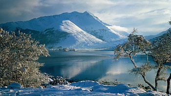 ballachulish western highlands scotland, winter, trees, lake, mountain HD wallpaper