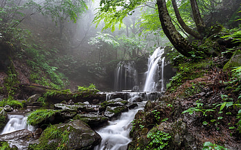 Forest Waterfall, mist, moss, waterfall, trees, rocks, forest HD wallpaper