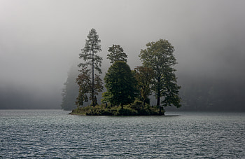 Landscape, Nature, Rivers, Trees, Fog, Island HD wallpaper