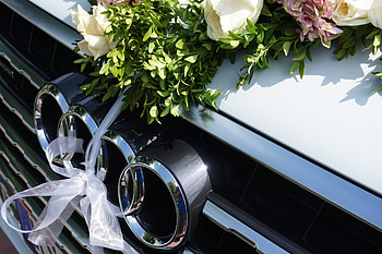 Flowers, Audi, Cars, Suv, Logo, Logotype, Q7 HD wallpaper