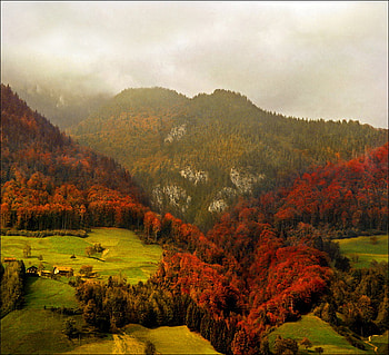 Beauty of the Alps, plains, red, trees, alps, mountains HD wallpaper