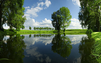 Nature, Rivers, Trees, Grass, Summer HD wallpaper
