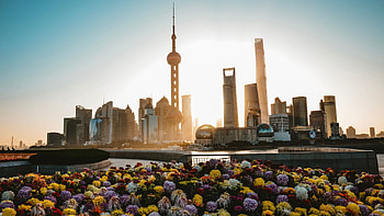 Shanghai Skyline, Waterfront beauty, Cityscape in 1440p, Urban reflections HD wallpaper