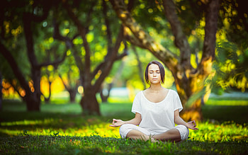 Yoga , Immersive practice, Mind and body connection, Astonishing visuals HD wallpaper