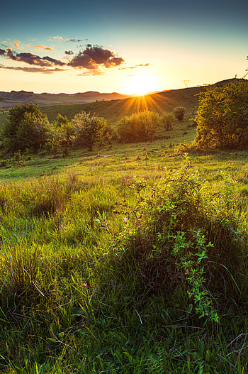 Nature, Grass, Sun, Rays, Beams, Slope, Hill HD phone wallpaper