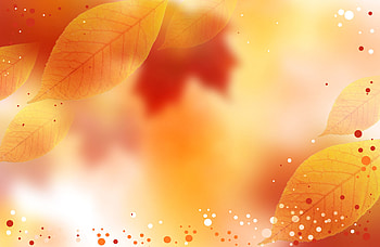 Fall colors on the background with Autumn leaves and white, orange and red dots as spread and highlights. HD wallpaper