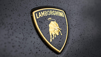 Wet, Lamborghini Logo HD wallpaper