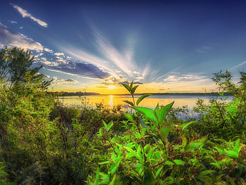 Lake Sunset, reflection, clouds, trees, nature, lake, sunset HD wallpaper