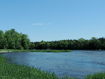 Ranney River In The Summer, graphy, Summer, Grass, Trees, Nature, River, Sky HD wallpaper