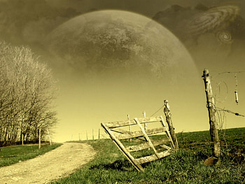 nature, trees, planet HD wallpaper