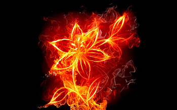 Flower_Fire, burn, flower HD wallpaper