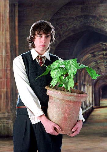Neville Longbottom portrait, Harry Potter fan zone, Memorable character, Underestimated hero HD phone wallpaper