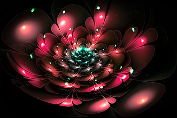 Abstract, Flower, Glare, Fractal, Glow HD wallpaper