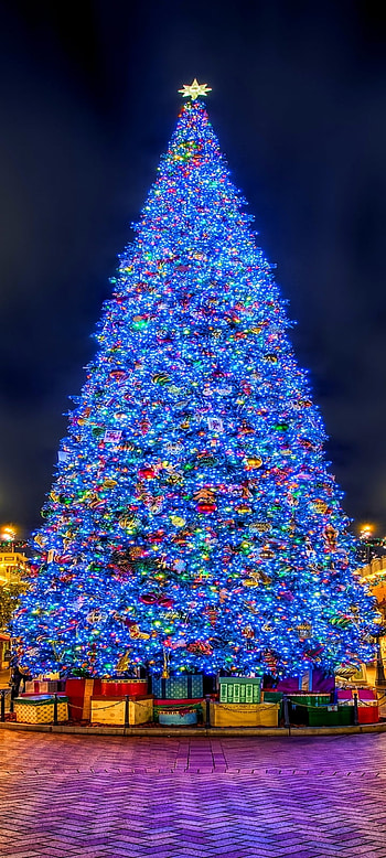 Lighted Christmas Tree in Town Square, christmas tree, holiday, Christmas HD phone wallpaper