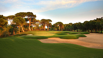 golf beauty, High resolutions, Astonishing details, Perfect backdrops HD wallpaper