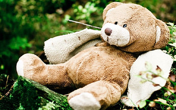 Teddy bear, toy, teddy, bear HD wallpaper