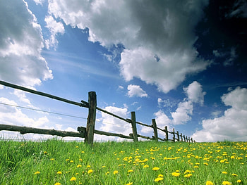 Landscape, Fields, Clouds HD wallpaper