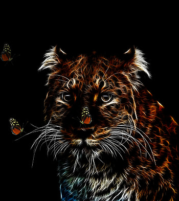 Tiger, muzzle, art, minimal HD phone wallpaper